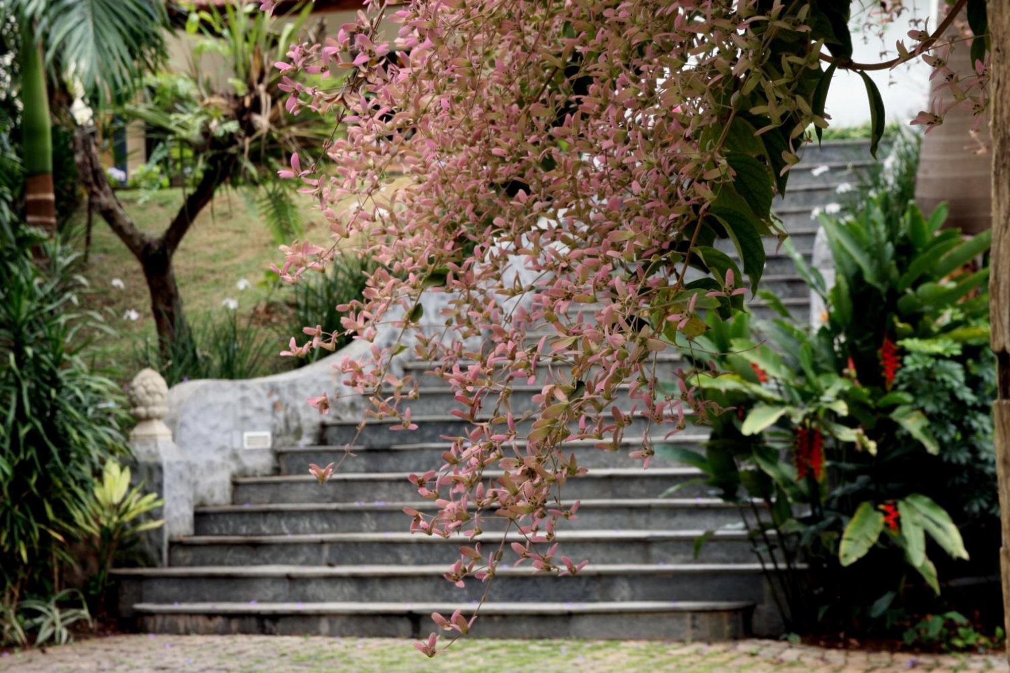 Pousada Villa Magnolia São João del Rei Buitenkant foto